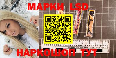 ПСИЛОЦИБИНОВЫЕ ГРИБЫ Конаково