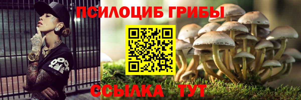 Галлюциногенные грибы MAGIC MUSHROOMS Кизилюрт